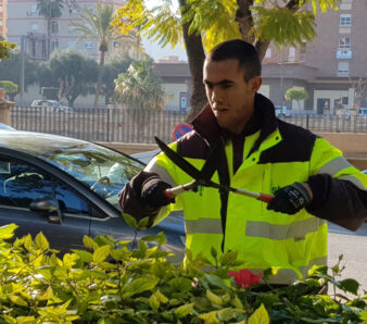Jóvenes discapacitados parques Murcia