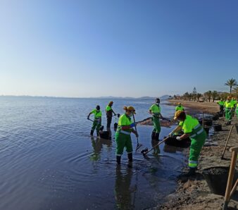 Limpieza Mar Menor