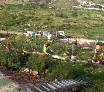 STV GANDIA ACTUACIÓN PINOS BARRANC DEL BORRELL