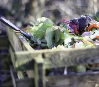 STV cómo hacer compost. Foto Pixabay