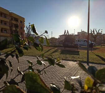 STV Gestión diseño áreas verdes